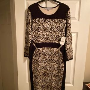 NWT Sweater dress